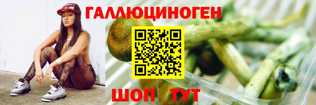 Галлюциногенные грибы прущие грибы  Вход с VPN  Ступино 
