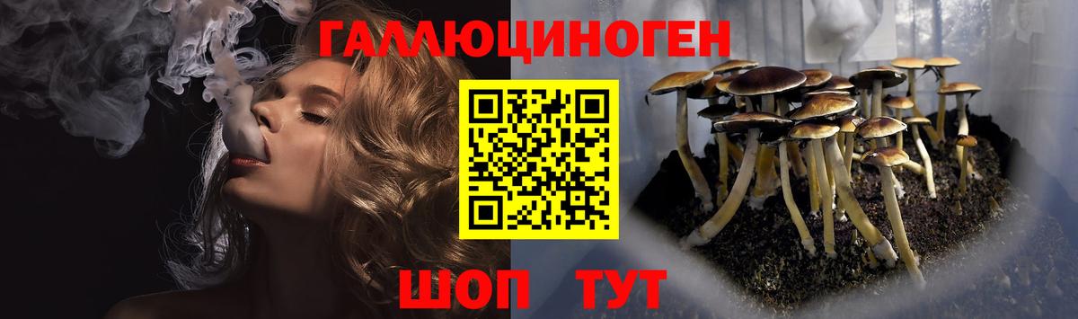 Псилоцибиновые грибы Magic Shrooms Ступино